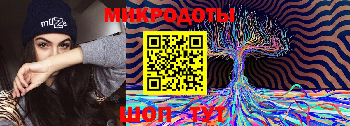 Псилоцибиновые грибы Psilocybe Донской