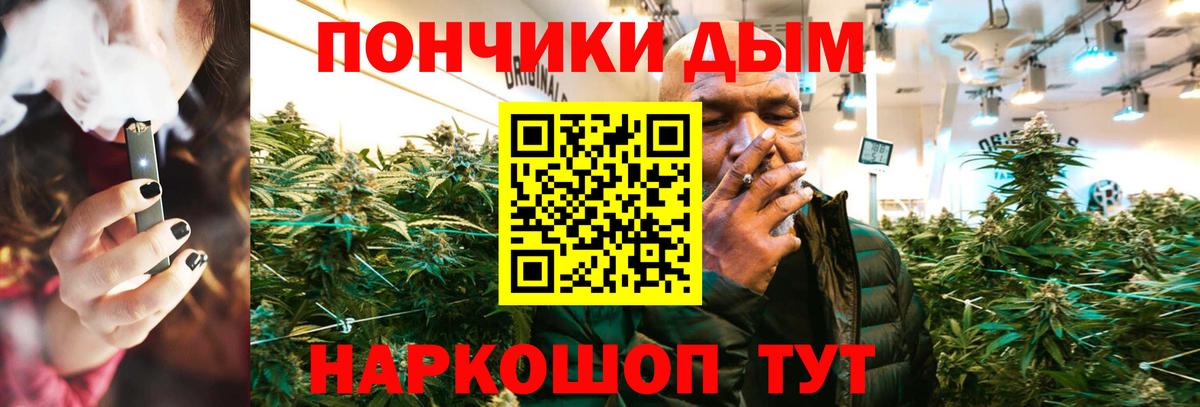 Конопля конопля Донской